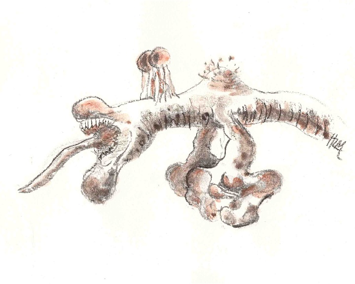 dragon6